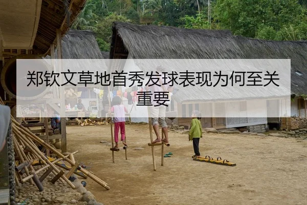 郑钦文草地首秀发球表现为何至关重要